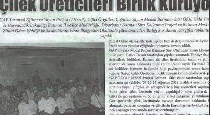 ÇİLEK ÜRETİCİLERİ BİRLİK KURUYOR