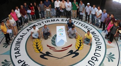 GAP TEYAP Pamuk Yetiştiriciliği Eğitimi GAP TAEM’ de yapıldı