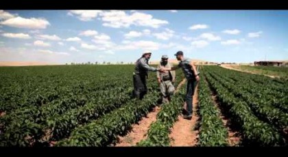 GAP TEYAP Danışmanlık Konulu Kamu Spotu