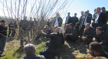 Adıyaman Kahta Badem Budama Eğitimi