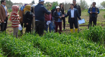 GAP TEYAP tan bölge yayım elemanlarına  “Hububat – Baklagil Yetiştiriciliği” eğitimi
