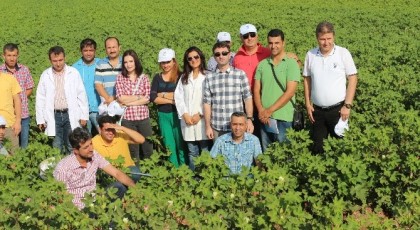 GAP TEYAP Model Uygulama Programından Tarım Danışmanlarına “Pamukta Entegre Mücadele” eğitimi gerçekleştirildi