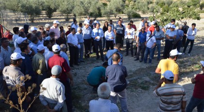 Damla Sulama İle Antepfıstığı Yetiştiriciliği Demonstrasyonu Tarla Günü