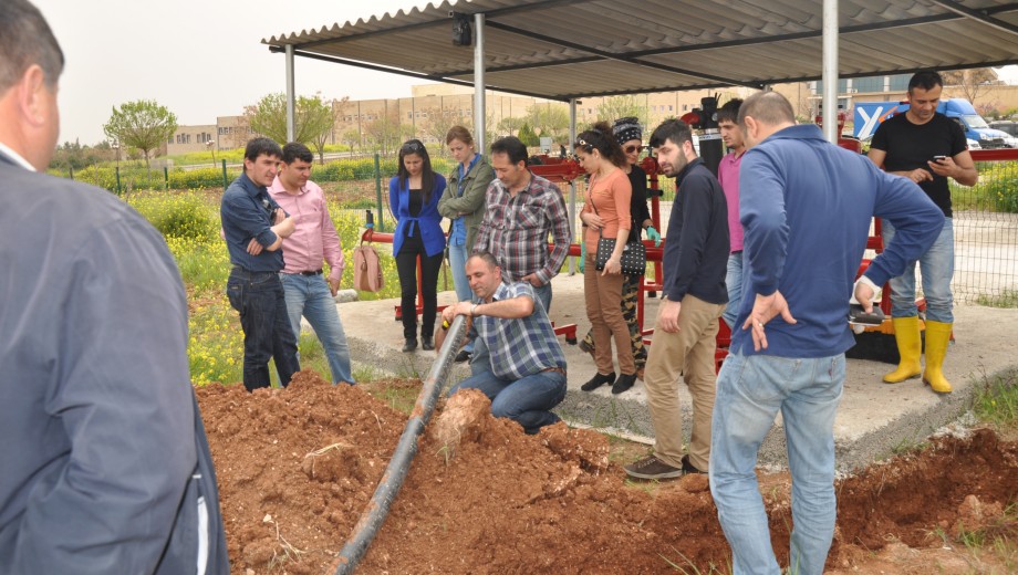 GAP TEYAP Resim Galerisi