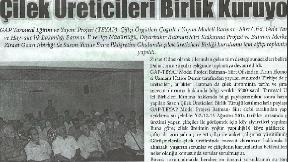 ÇİLEK ÜRETİCİLERİ BİRLİK KURUYOR