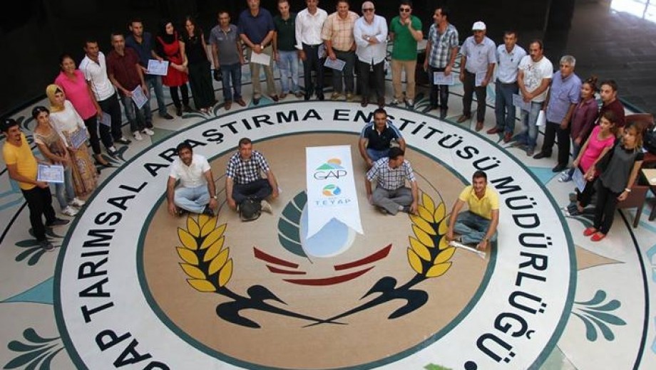 GAP TEYAP Pamuk Yetiştiriciliği Eğitimi GAP TAEM’ de yapıldı
