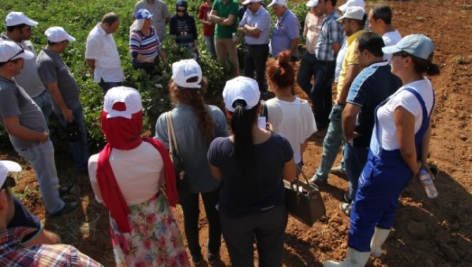 GAP TEYAP Pamuk Yetiştiriciliği Eğitimi GAP TAEM’ de yapıldı