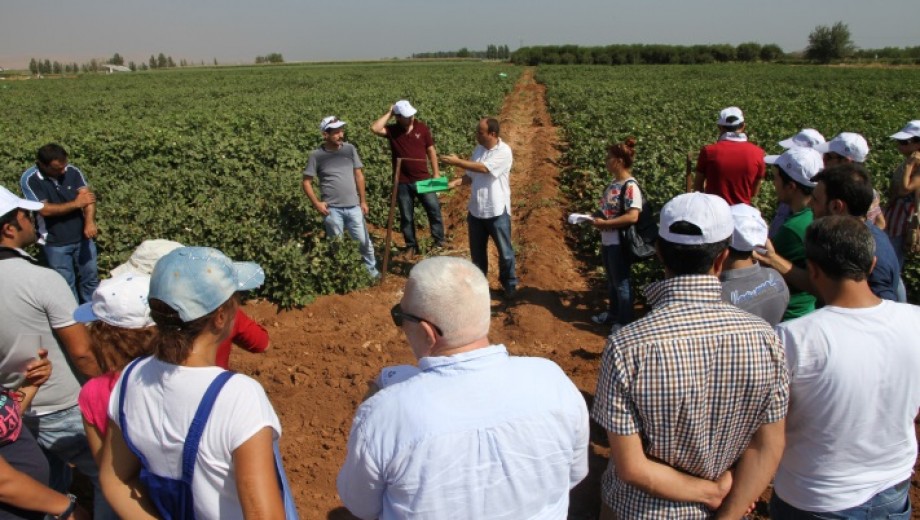 GAP TEYAP Pamuk Yetiştiriciliği Eğitimi GAP TAEM’ de yapıldı