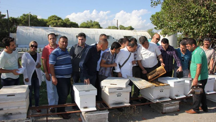 GENEL ARICILIK EĞİTİMİ