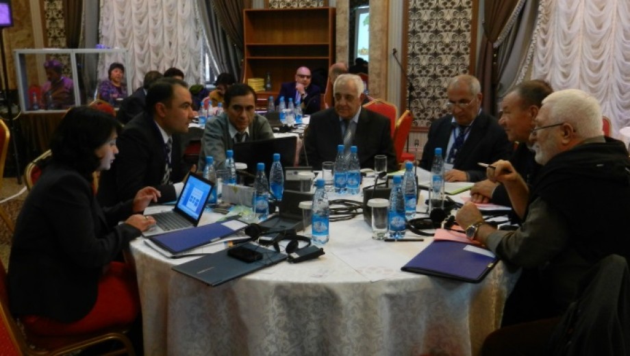 GAP-TEYAP-Model Programı Orta Asya ve Kafkasya Ülkelerine tanıtıldı