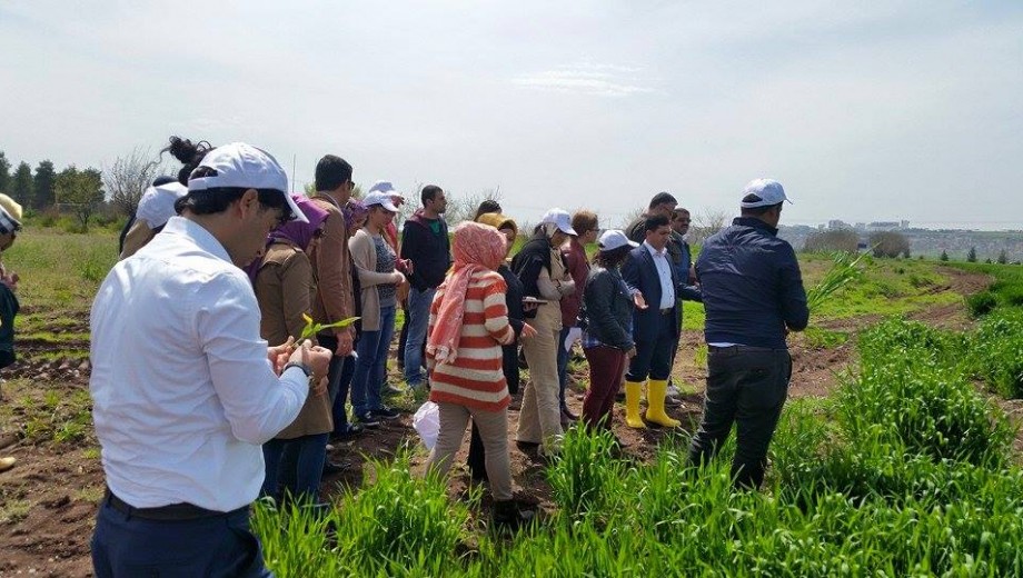 GAP TEYAP tan bölge yayım elemanlarına  “Hububat – Baklagil Yetiştiriciliği” eğitimi