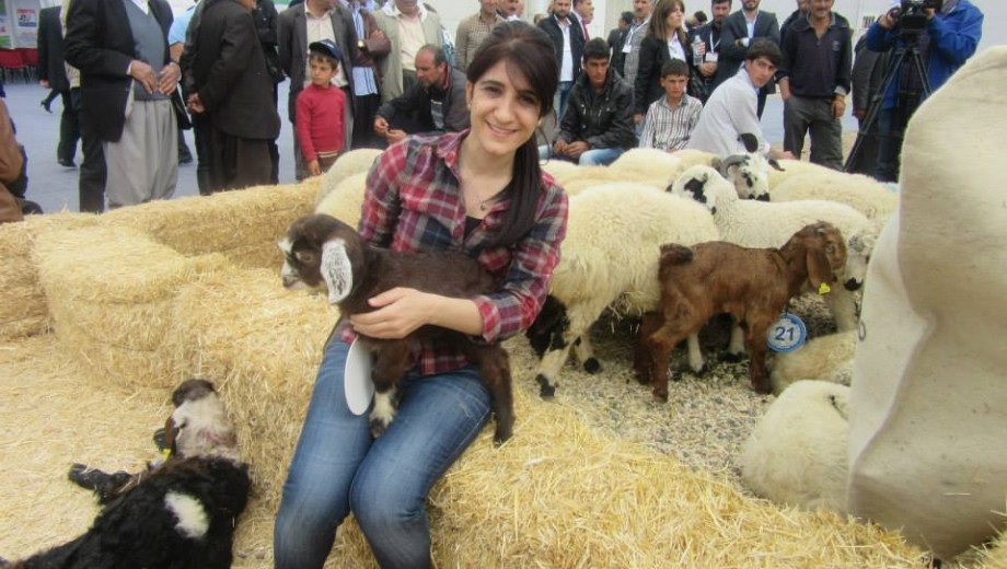 GAP TEYAP tan bölge yayım elemanlarına  “Hububat – Baklagil Yetiştiriciliği” eğitimi