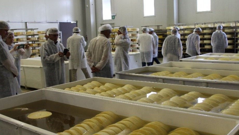 GAP-TEYAP Model Uygulama Programı Kapsamında İtalya’ ya “Örgütlenme-Tarımsal Danışmanlık” konusunda teknik gezi gerçekleştirilmiştir.