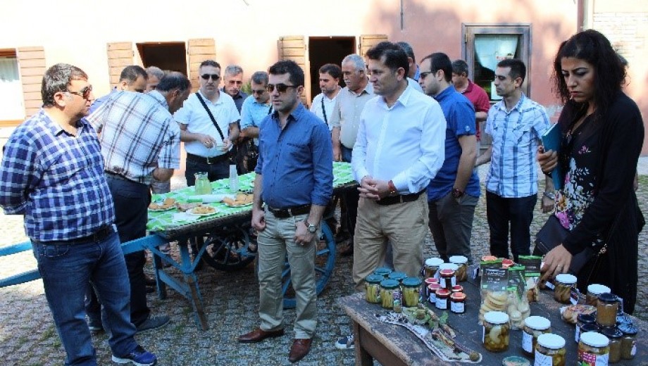 GAP-TEYAP Model Uygulama Programı Kapsamında İtalya’ ya “Örgütlenme-Tarımsal Danışmanlık” konusunda teknik gezi gerçekleştirilmiştir.