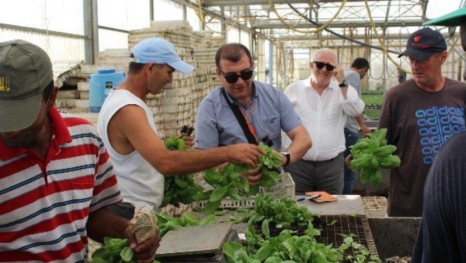 GAP-TEYAP Model Uygulama Programı Kapsamında İtalya’ ya “Örgütlenme-Tarımsal Danışmanlık” konusunda teknik gezi gerçekleştirilmiştir.