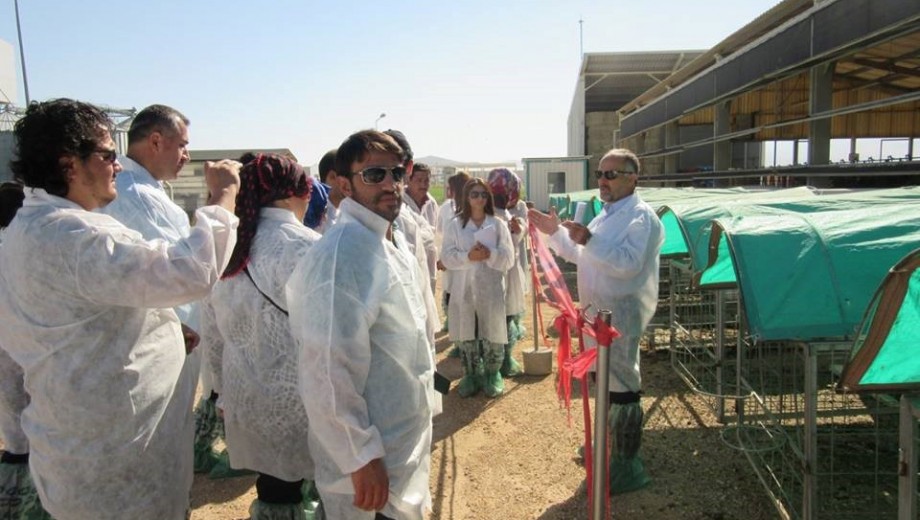 GAP Yayım Elemanlarına Aksaray SÜTAŞ Tesislerinde “Büyükbaş Hayvancılık” Eğitimi Gerçekleştirildi.