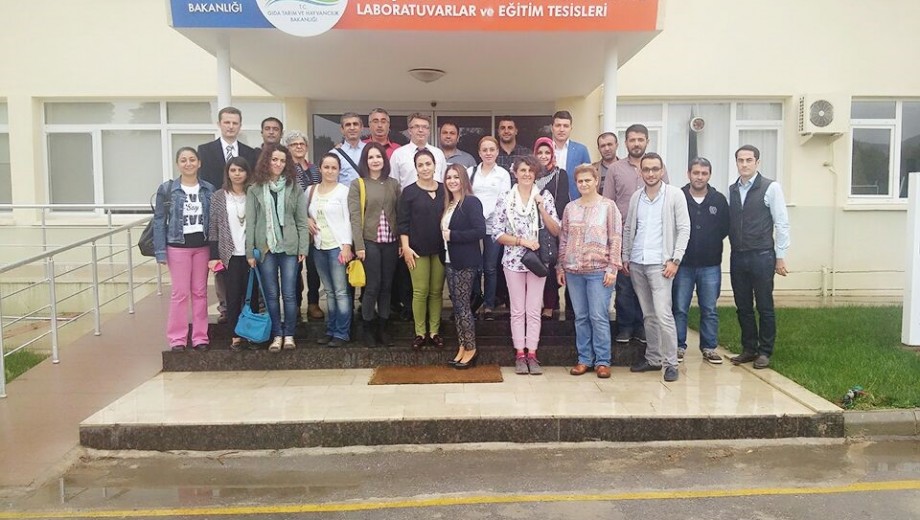 GAP TEYAP Model Uygulama Programından Tarım Danışmanlarına “Zeytin Yetiştiriciliği” eğitimi gerçekleştirildi