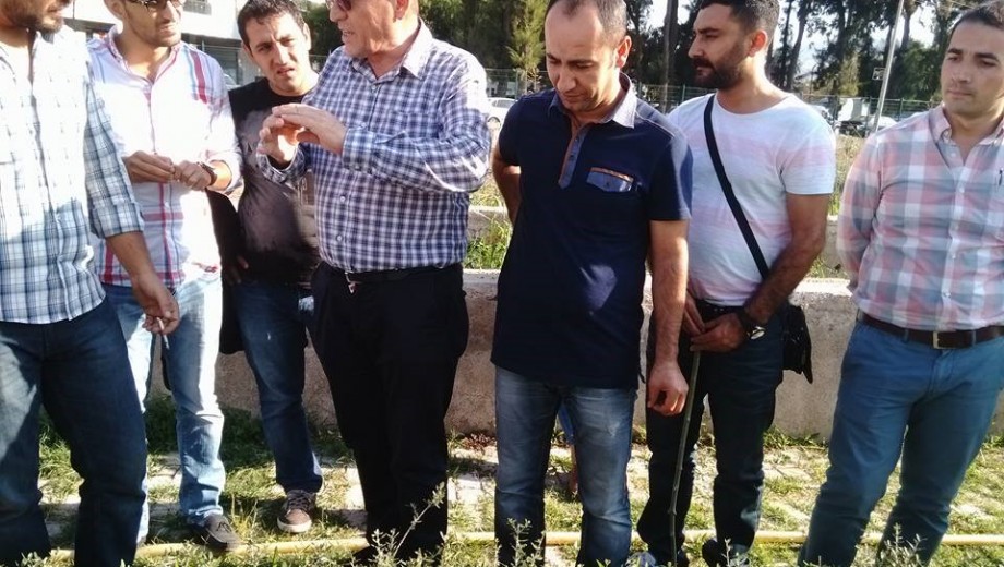 GAP TEYAP Model Uygulama Programından Tarım Danışmanlarına “Zeytin Yetiştiriciliği” eğitimi gerçekleştirildi