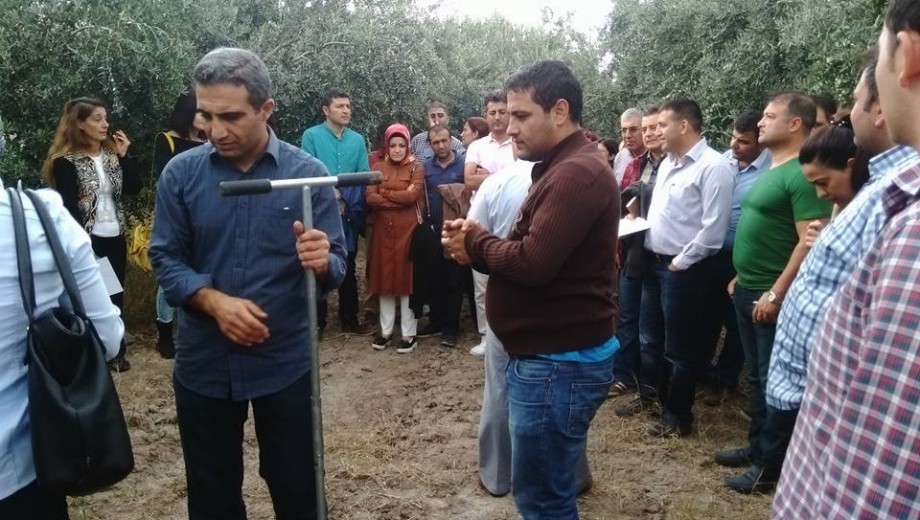 GAP TEYAP Model Uygulama Programından Tarım Danışmanlarına “Zeytin Yetiştiriciliği” eğitimi gerçekleştirildi