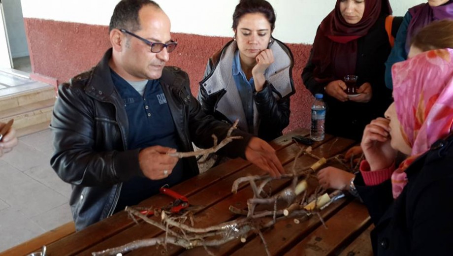 GAP Bölgesi yayım elemanlarına “Badem ve Antepfıstığında Entegre Mücadele” eğitimi