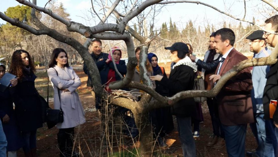 GAP Bölgesi yayım elemanlarına “Badem ve Antepfıstığında Entegre Mücadele” eğitimi