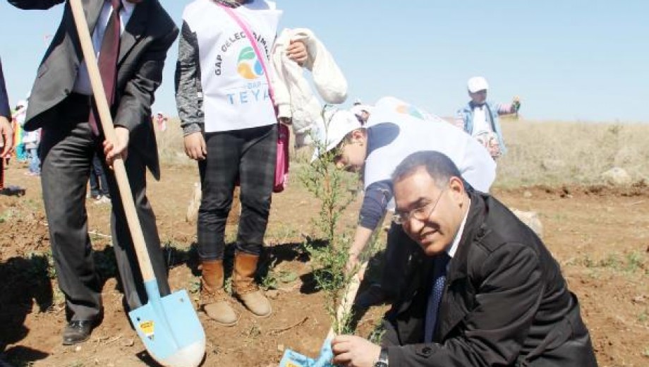 GAP GELECEĞİMİZDİR Projesi “Fidan Dikim ve Uçurtma Şenliği” gerçekleştirildi.