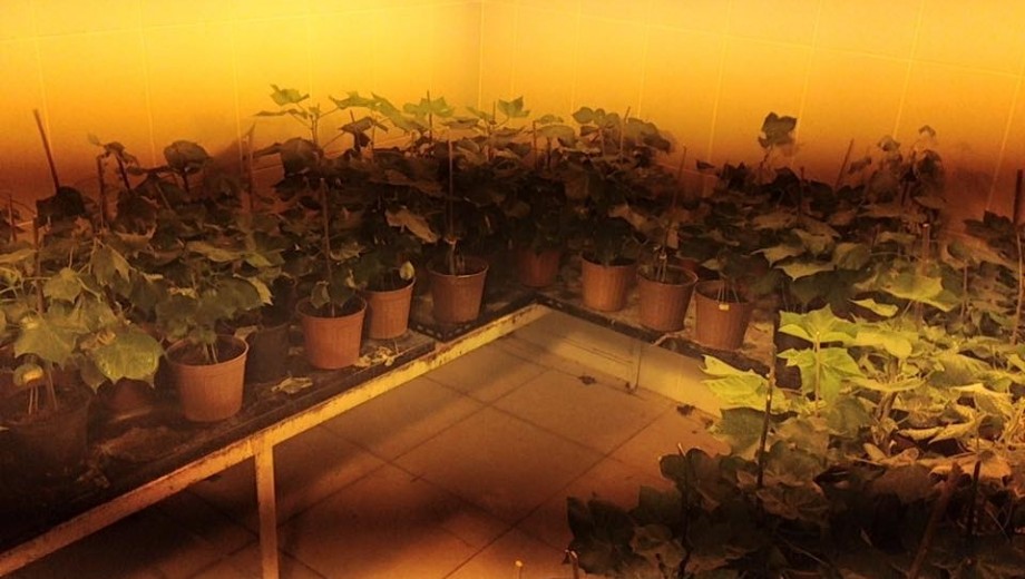 GAP Bölgesi yayım elemanlarına “Entegre Biyolojik Mücadele” eğitimi gerçekleştirildi