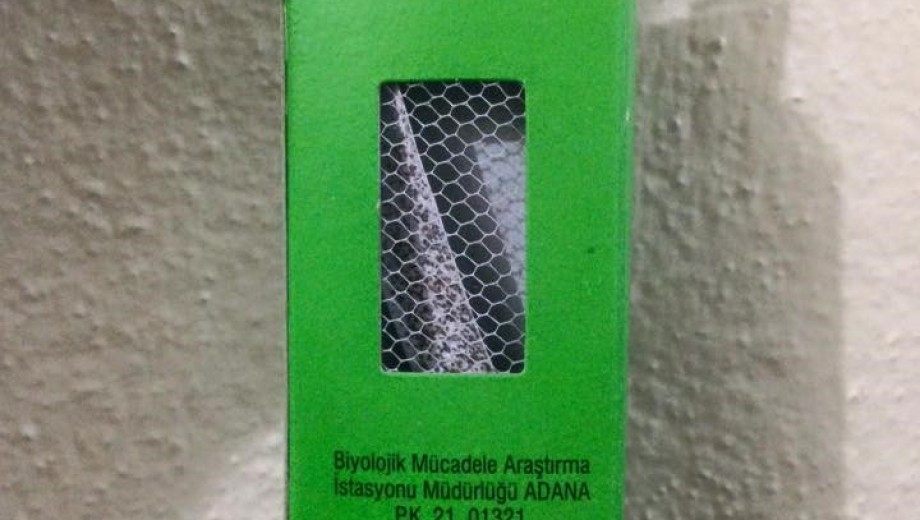 GAP Bölgesi yayım elemanlarına “Entegre Biyolojik Mücadele” eğitimi gerçekleştirildi