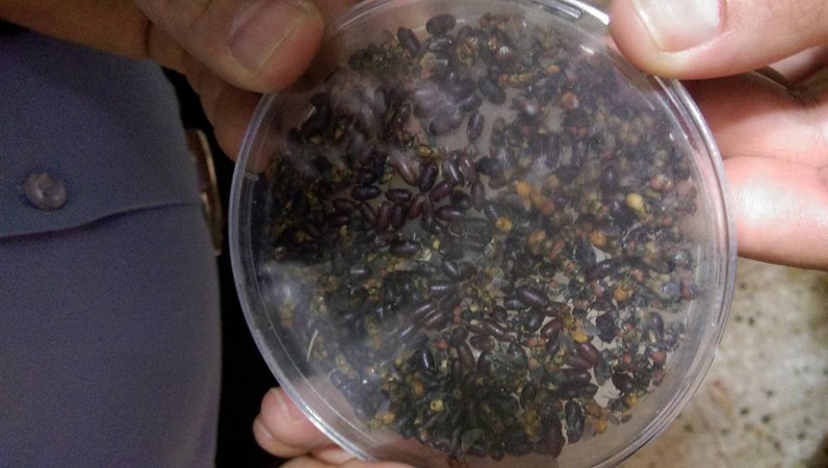 GAP Bölgesi yayım elemanlarına “Entegre Biyolojik Mücadele” eğitimi gerçekleştirildi