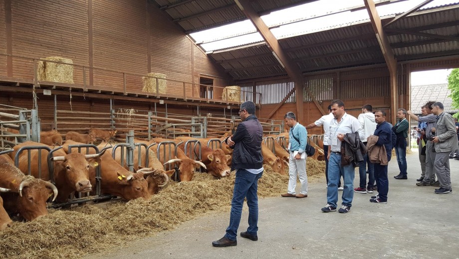 GAP-TEYAP Model Uygulama Programı Kapsamında Almanya’ ya “İyi-Organik Tarım” konusunda teknik gezi gerçekleştirilmiştir.