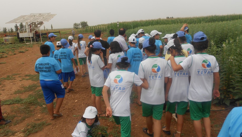 GAP Tarım Kampı Lider Çiftçi Yetiştirme Projesi