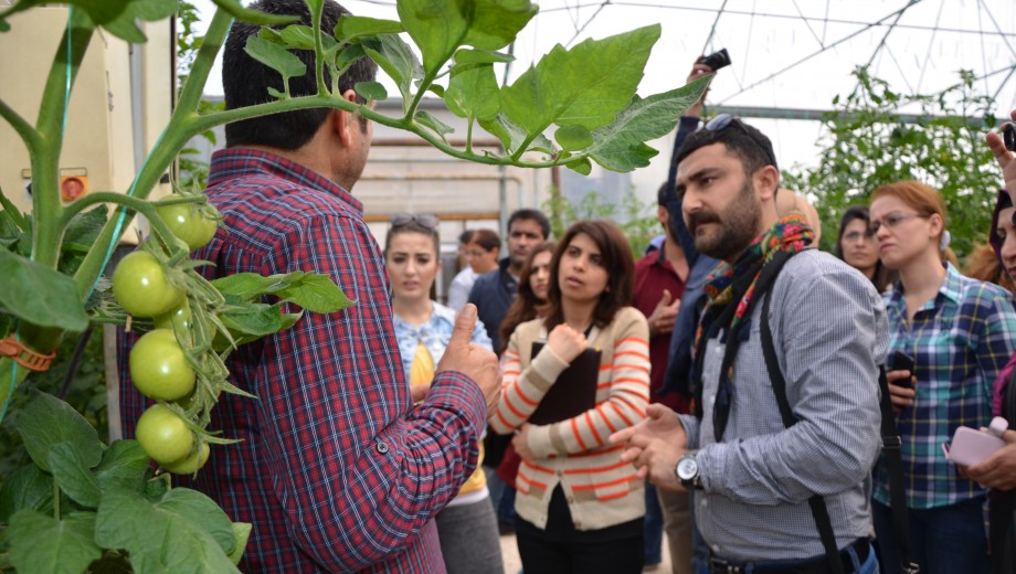 GAP-TEYAP Model kapsamında  GAP Bölgesi Tarım Danışmanlarına “Sebze Yetiştiriciliği” eğitimi